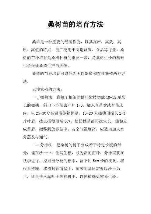桑树苗的培育方法