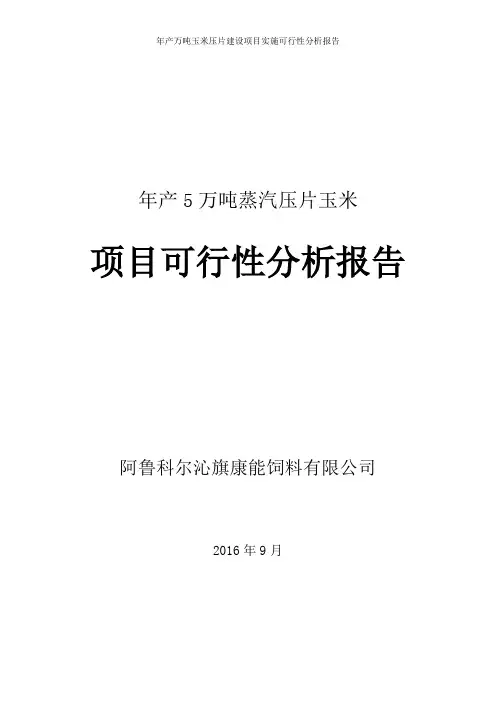 年产万吨玉米压片建设项目实施可行性分析报告