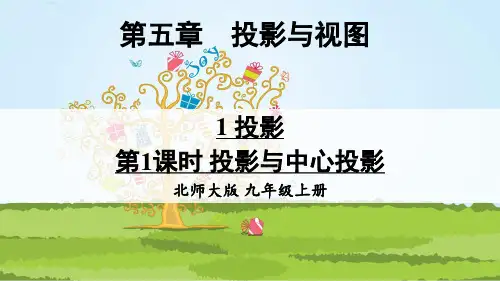 北师大版九年级数学上册课件：第五章 投影与视图