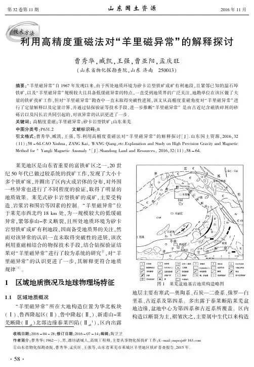 利用高精度重磁法对“羊里磁异常”的解释探讨
