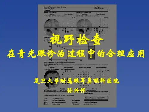孙兴怀-视野检查在青光眼诊治中的应用(20140712上海)