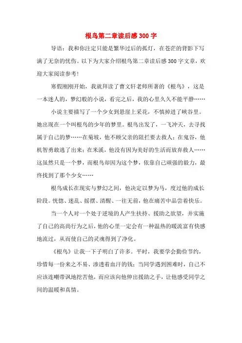 根鸟第二章读后感300字