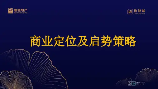 商业地产项目-鲁能城商业定位及启势推广策略方案