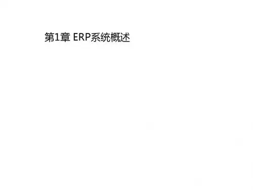 ERP系统概述(ppt 30张)