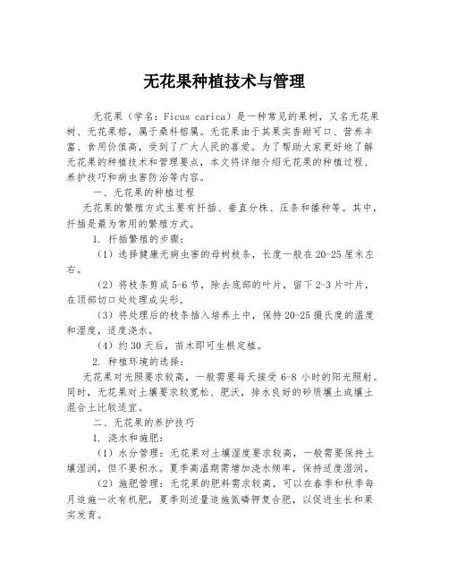 无花果种植技术与管理