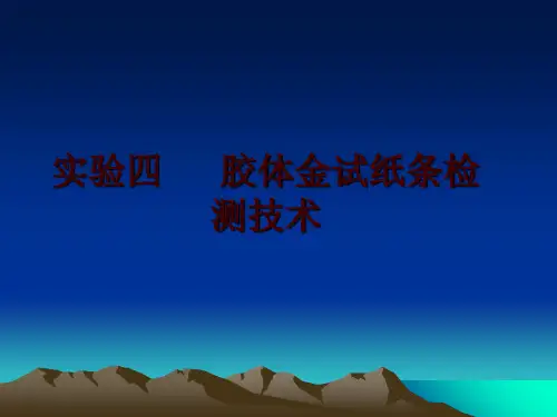 最新实验四   胶体金试纸条检测技术
