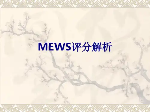 MEWS评分解析优质PPT课件