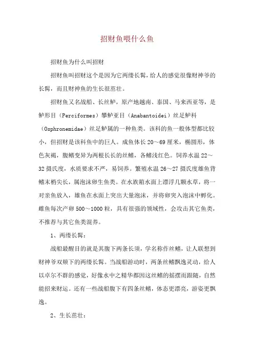 招财鱼喂什么鱼