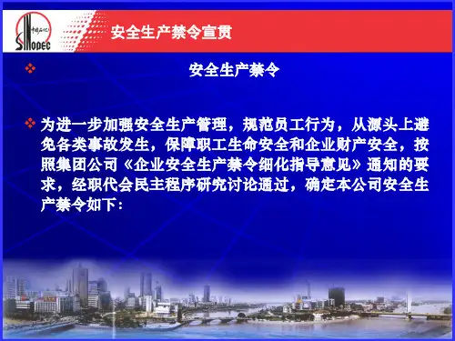 精选安全生产禁令培训课件