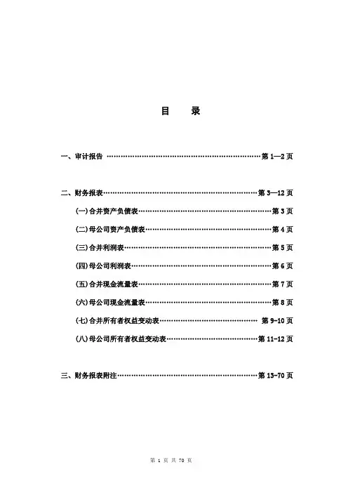 2012年年度审计报告62257158[1]