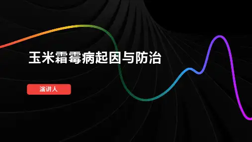 玉米霜霉病起因与防治
