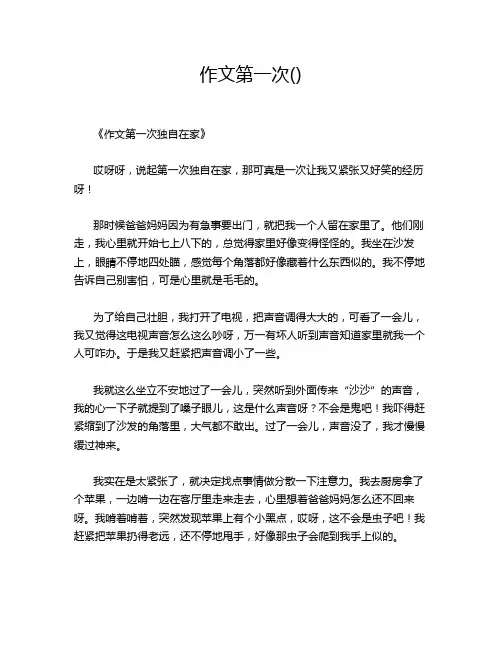 作文第一次()