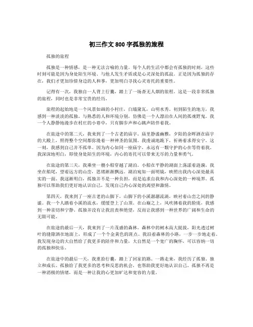 初三作文800字孤独的旅程