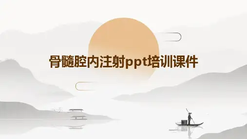 骨髓腔内注射PPT培训课件