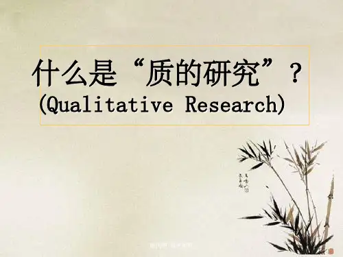 陈向明-质性研究