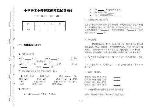 【小学教育】2019最新小学语文小升初(通用版)真题模拟试卷WS6—8K可直接打印