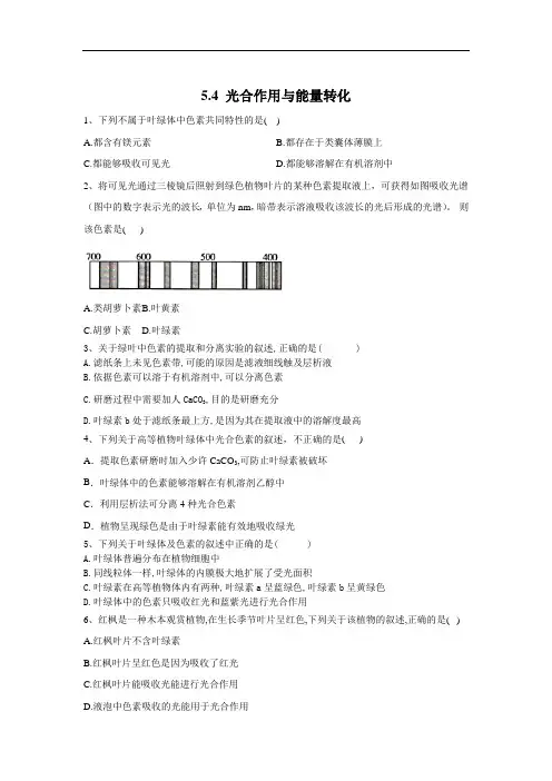 光合作用与能量转化-人教版高中生物必修1基础练习