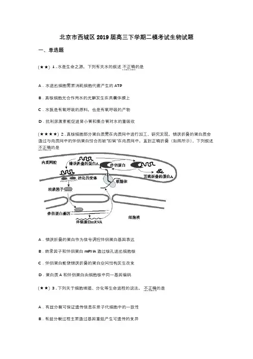 北京市西城区2019届高三下学期二模考试生物试题