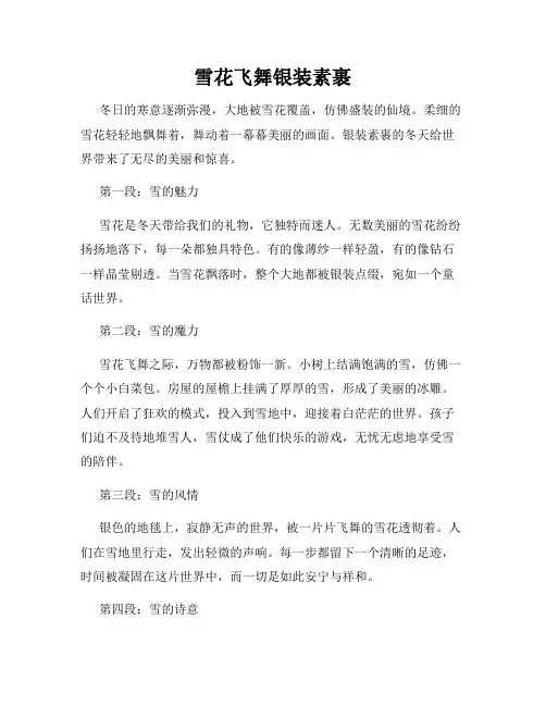 雪花飞舞银装素裹