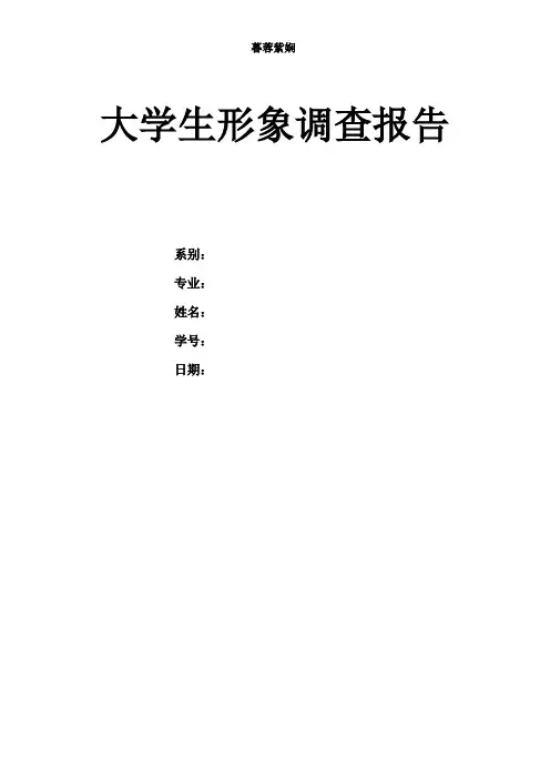 暮蓉紫娴大学生形象调查报告