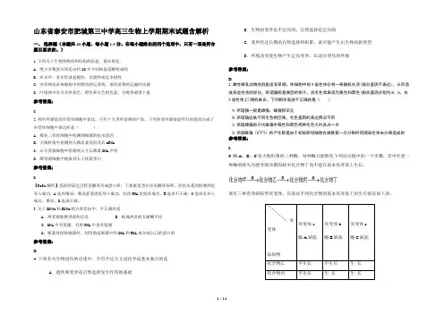 山东省泰安市肥城第三中学高三生物上学期期末试题含解析