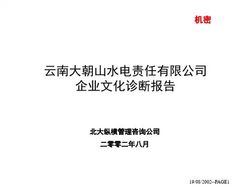 企业文化诊断报告