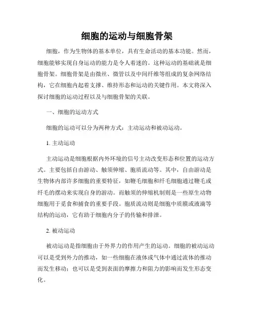 细胞的运动与细胞骨架