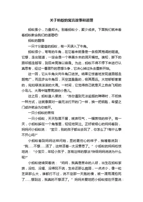 关于蚂蚁的寓言故事和道理