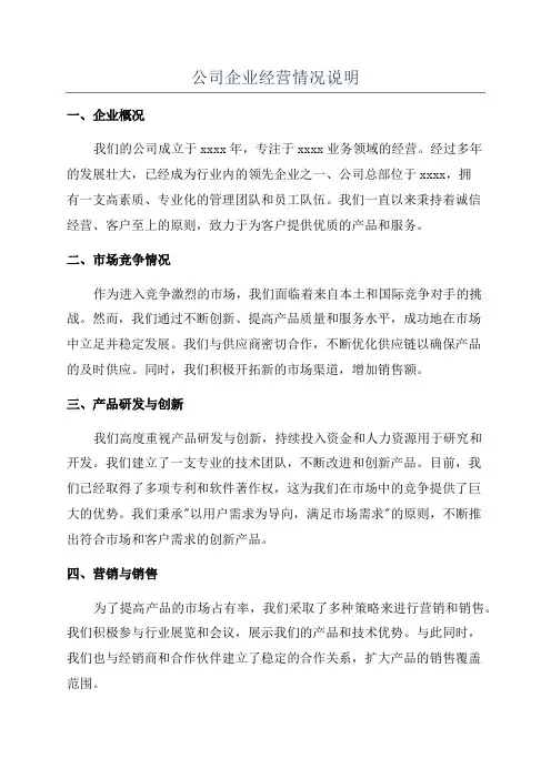 公司企业经营情况说明