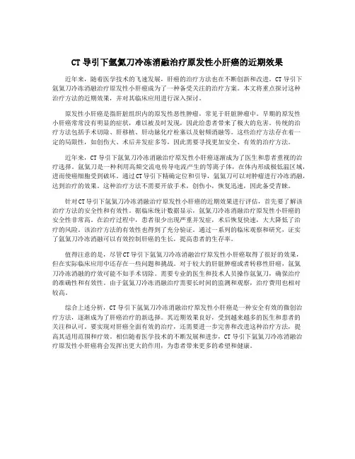 CT导引下氩氦刀冷冻消融治疗原发性小肝癌的近期效果