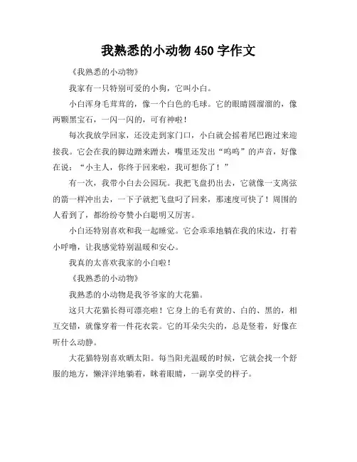 我熟悉的小动物450字作文