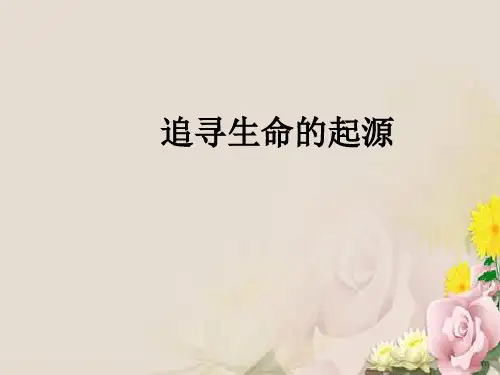 追寻生命的起源ppt9 人民版
