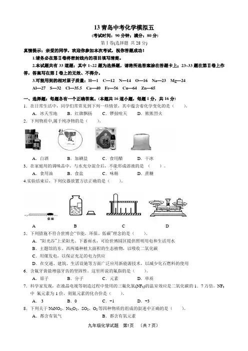 13青岛中考化学模拟试卷五