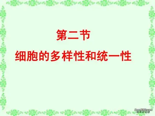 必修一第一章第二节 细胞的多样性和统一性