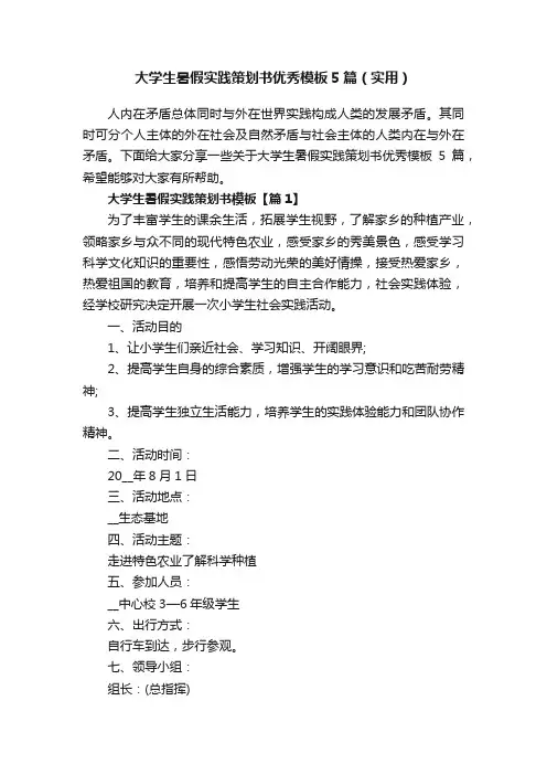 大学生暑假实践策划书优秀模板5篇（实用）