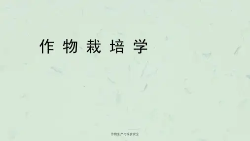 作物生产与粮食安全课件