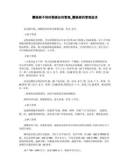 樱桃树不同时期要如何管理_樱桃树的管理技术