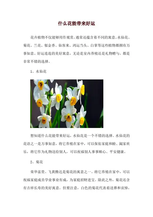 什么花能带来好运
