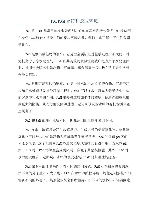 PACPAM介绍和反应环境