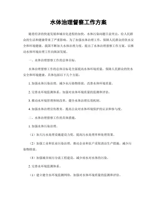 水体治理督察工作方案