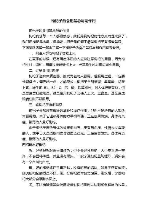 枸杞子的食用禁忌与副作用
