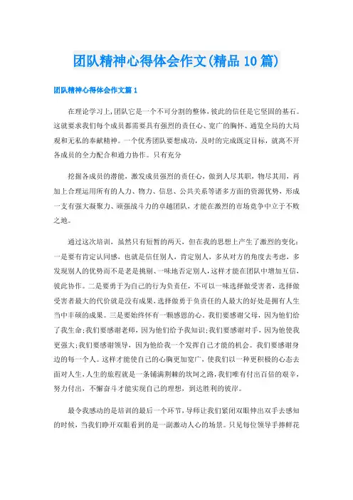 团队精神心得体会作文(精品10篇)