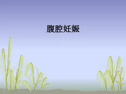 腹腔妊娠ppt课件