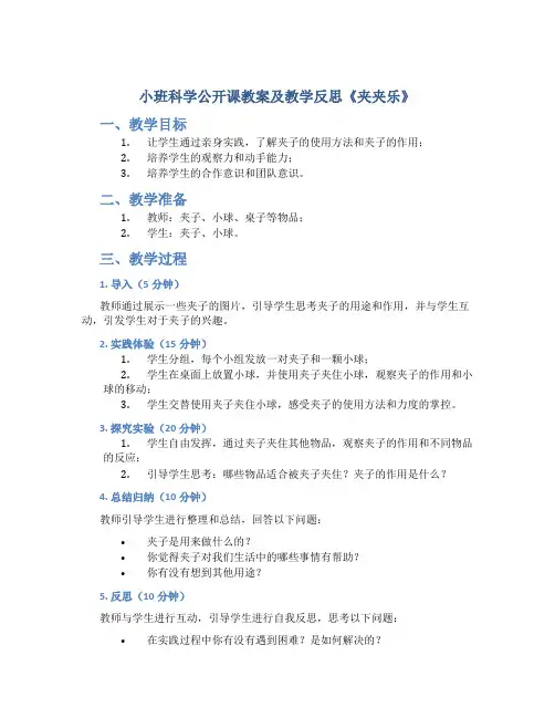 小班科学公开课教案及教学反思《夹夹乐》
