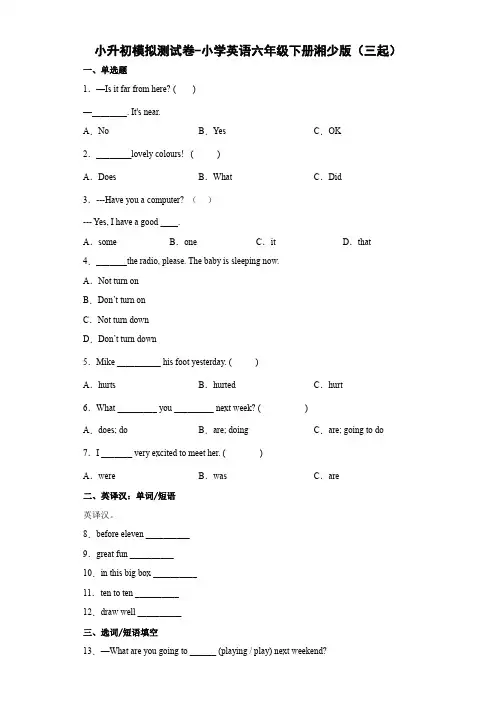 小升初模拟测试卷-小学英语湘少版(三起)(含答案)