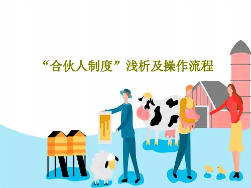 “合伙人制度”浅析及操作流程113页PPT