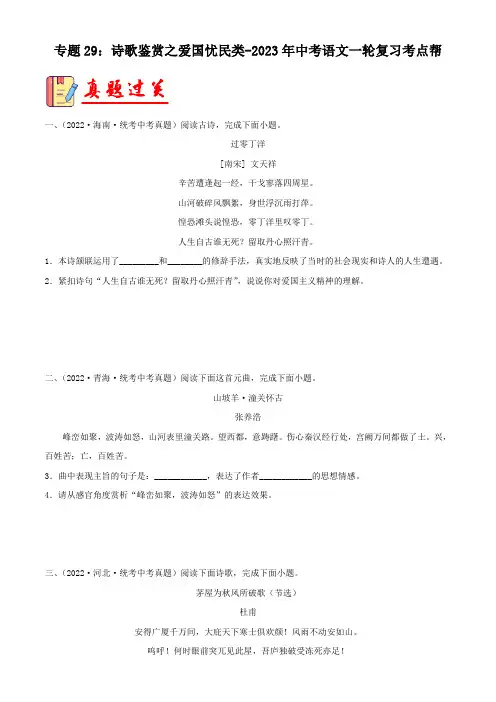 诗歌鉴赏之爱国忧民类【习题精练】-备战2023年中考语文一轮复习考点帮(全国通用) (解析版)