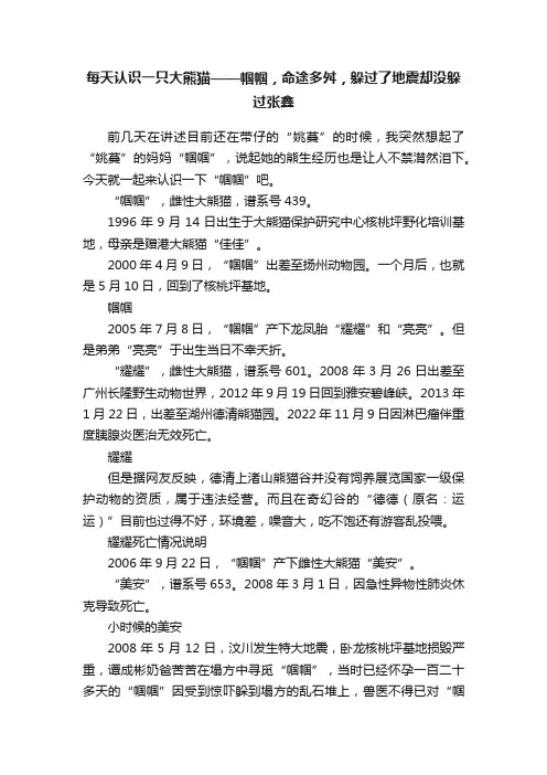 每天认识一只大熊猫——帼帼，命途多舛，躲过了地震却没躲过张鑫