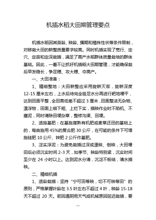 机插水稻大田期管理要点