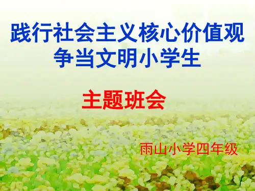 践行社会主义核心价值观,争当文明小学生(课堂PPT)